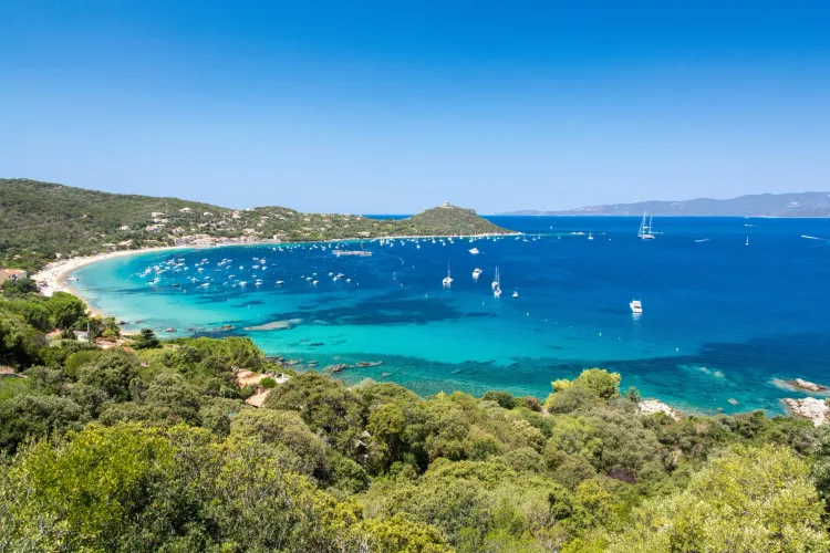 Frankrijk: Groepspreizen culinair in Corsica