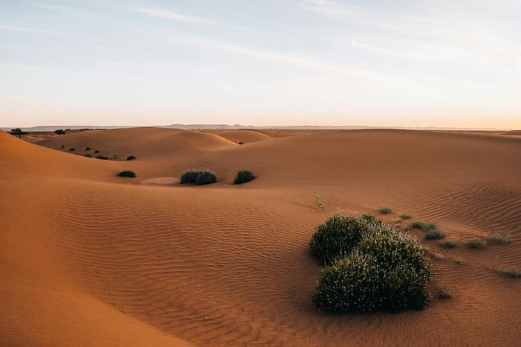 Come Organizzare un Seminario Aziendale in Marocco — Guida 2026 - seminaire.com
