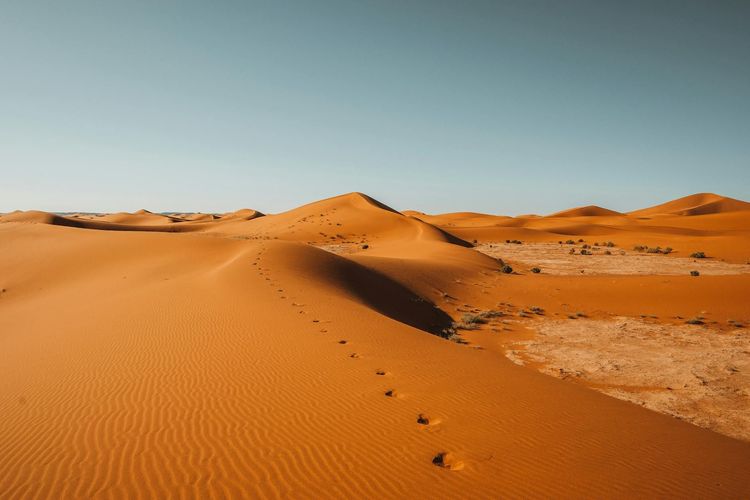 Hoe Organiseer Je een Bedrijfsseminarie in Marokko — Gids 2026 - seminaire.com