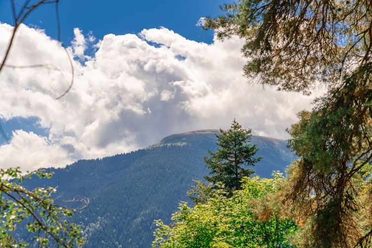Corporate trip to Bulgaria: Wow, Borovets!