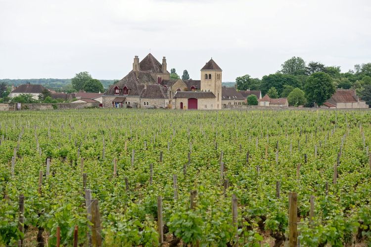 Organiser un Séminaire d'Entreprise en Bourgogne — Guide Complet 2026