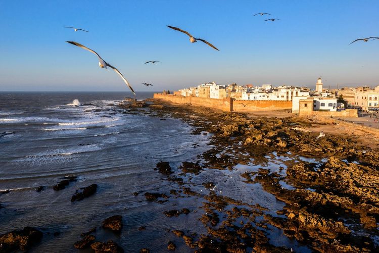 Organiser un Séminaire d'Entreprise à Essaouira — Guide Complet 2026