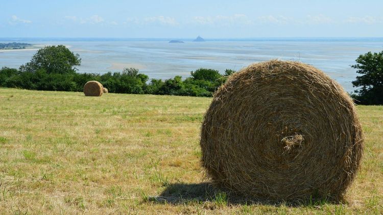 Organiser un Séminaire d'Entreprise en Normandie — Guide Complet 2026