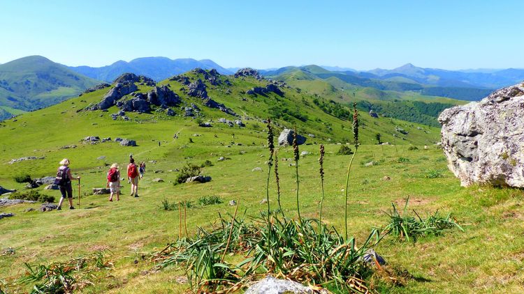 séminaire d'entreprise dans le Pays Basque