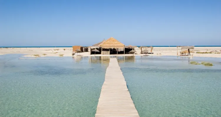 Séminaire à Djerba