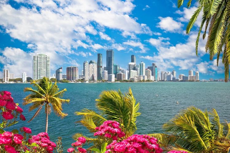 A luxury offsite in Miami: A dream come true!