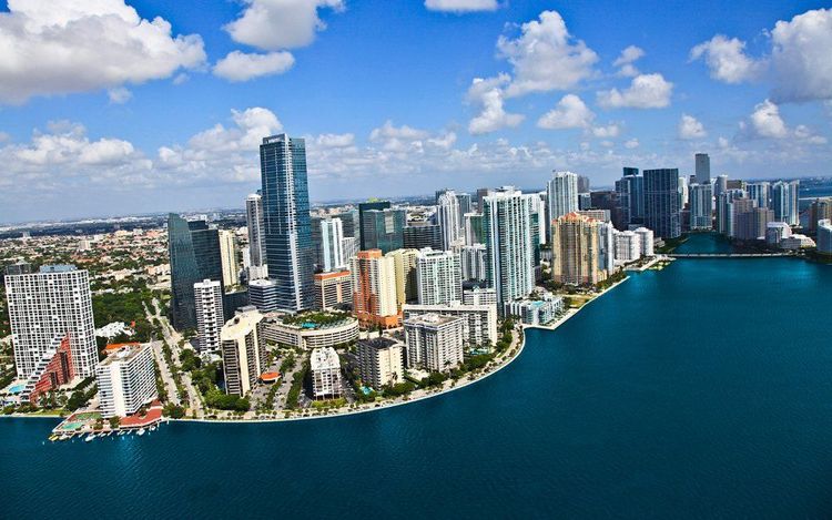 Corporate retreat in Miami: Wild and Urban