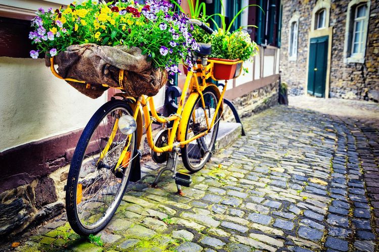 voyage d'équipe à Amsterdam