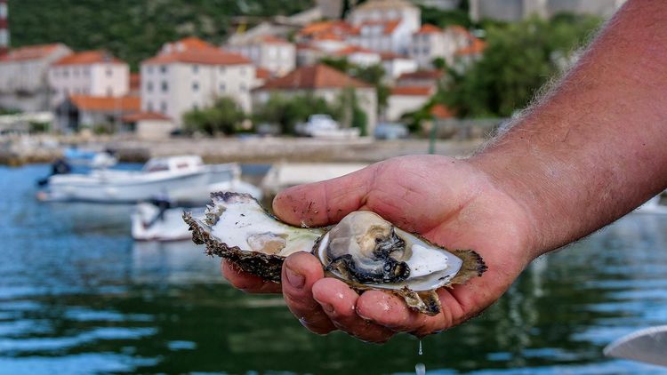 croatian-dishes-to-know