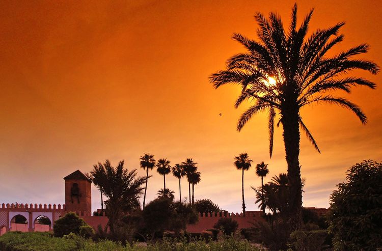 Corporate retreat in Marrakech: Charm and emotions in Morocco