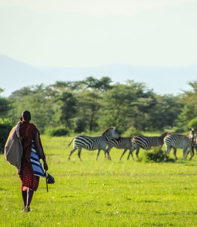 Icon gallery-seminaire-en-afrique-aventure-chez-les-zoulous