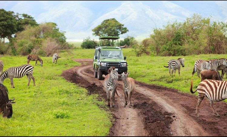 Ein Betriebsseminar in Kenia: Wild und schick!