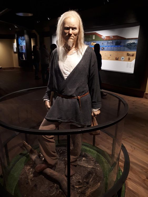 Visite du musée Viking