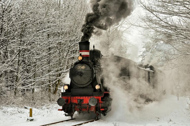 A nostalgic steam train travels through a snowy winter forest in Geesthacht, Germany.