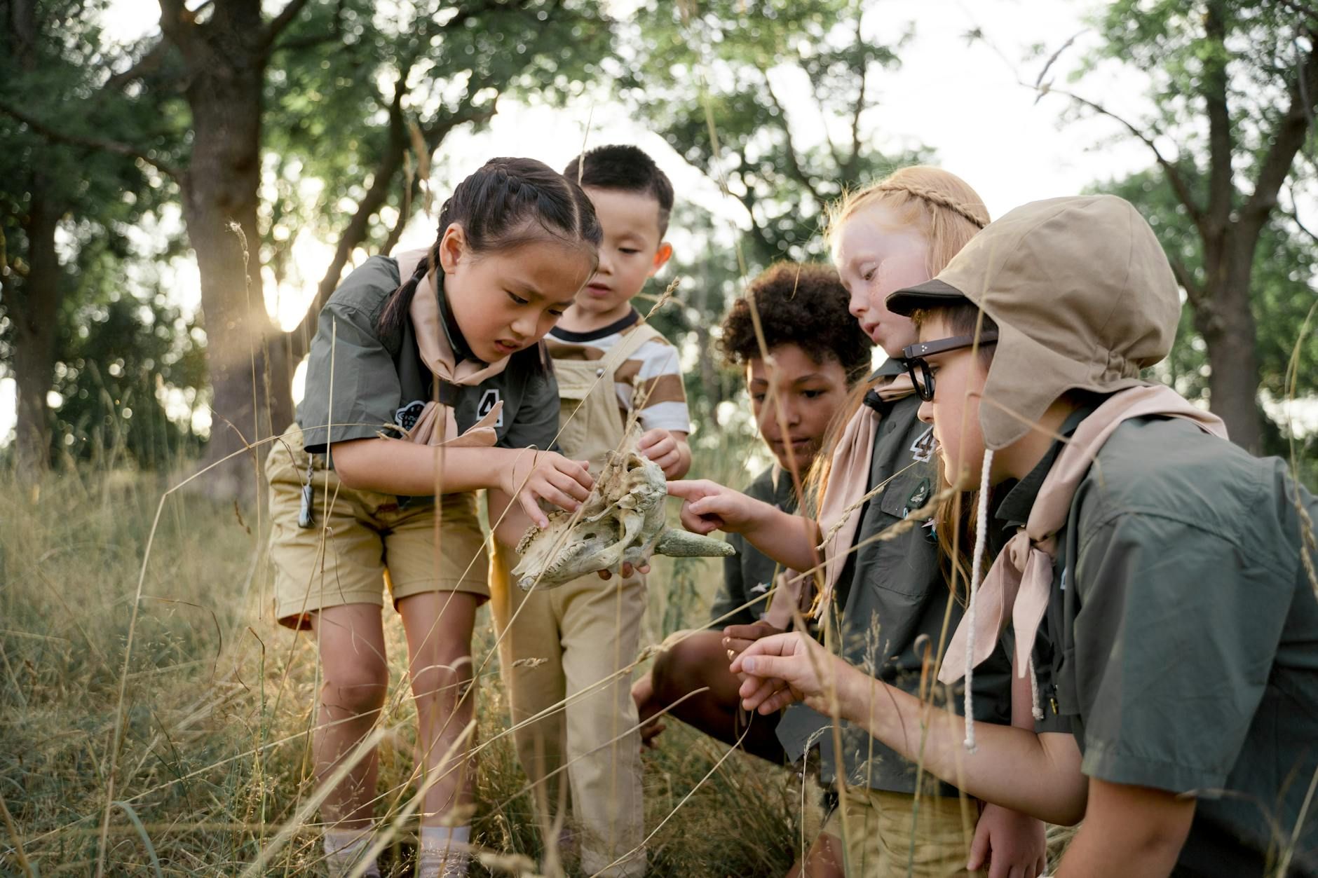 A group of scouts discovering an animal skull in a forest setting.