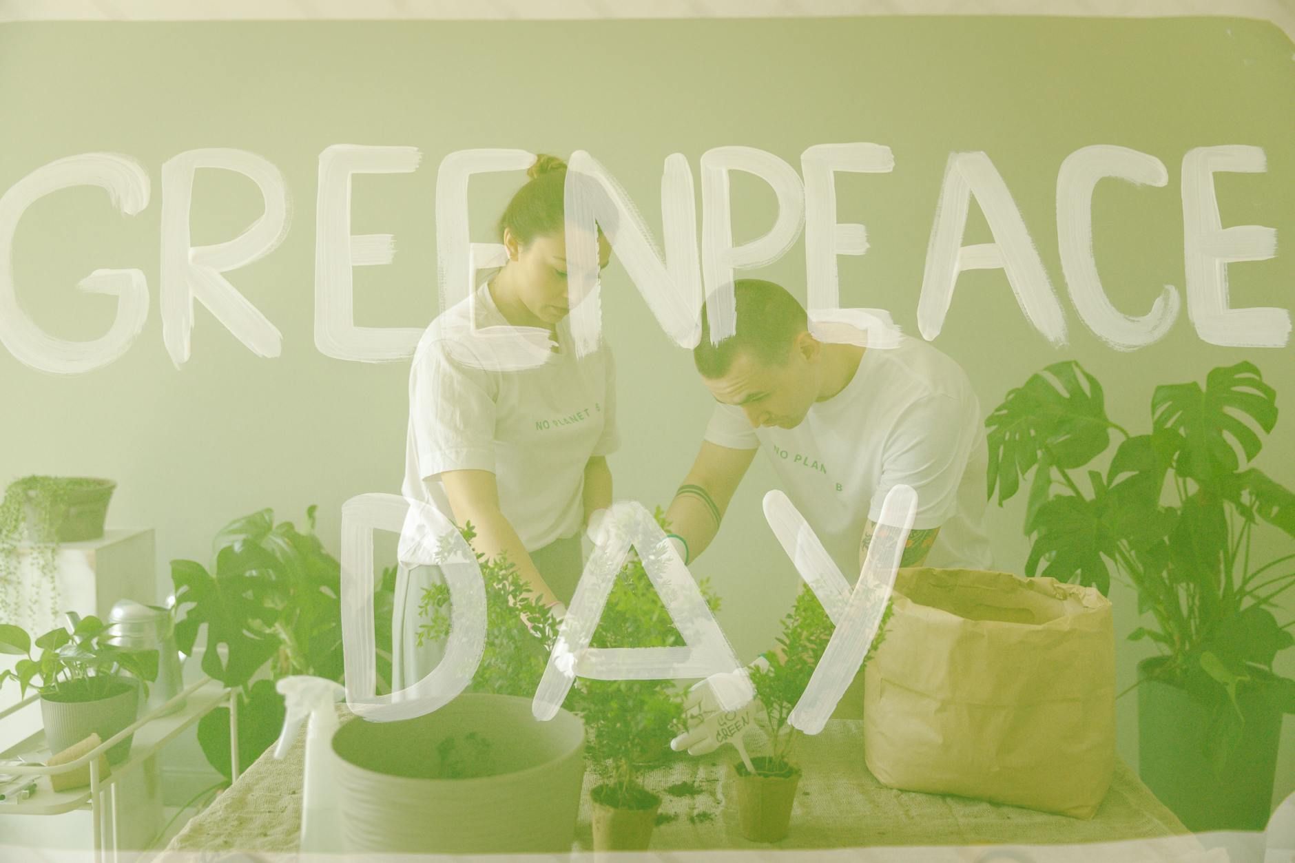 Volunteers planting indoors on Greenpeace Day, promoting eco-awareness. Volunteers planting indoors on Greenpeace Day, promoting eco-awareness.