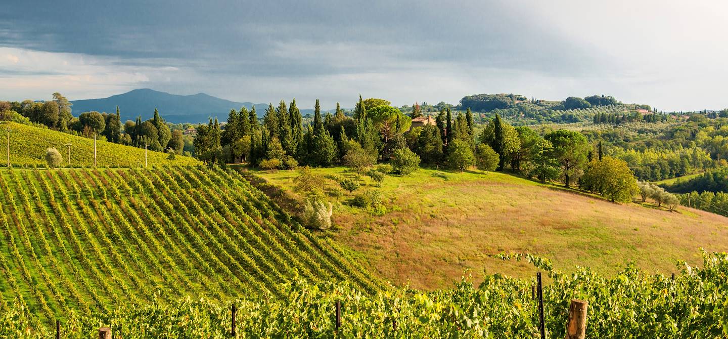  Découverte de la région de Chianti et de ses vins!