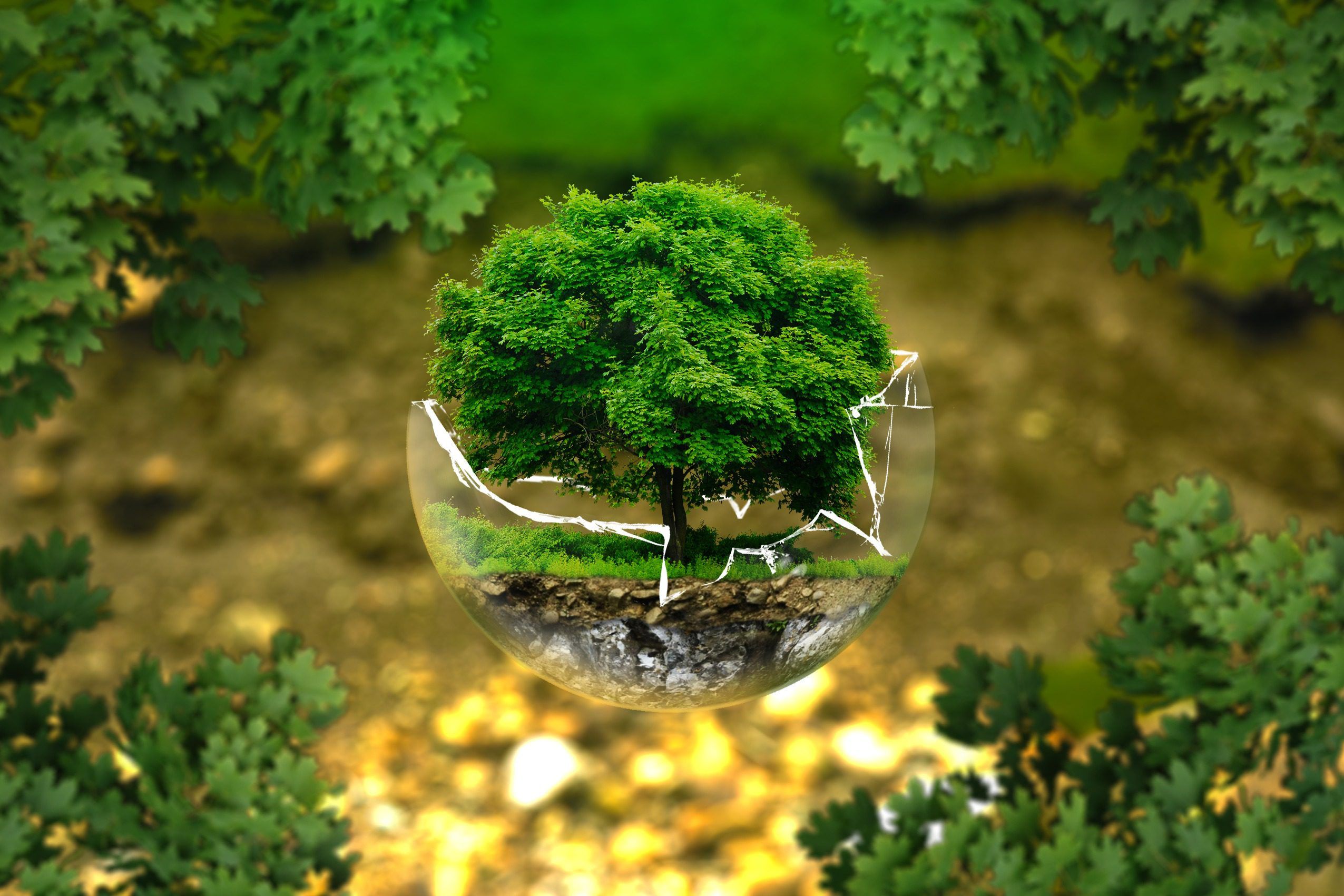 Eco-Friendly