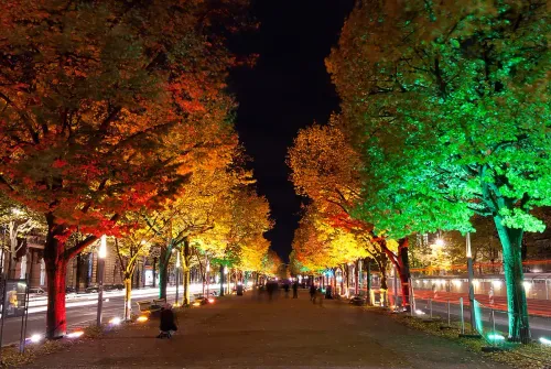Voyage au cœur de Berlin : La capitale