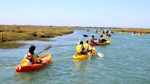 Kayak Experience à Ria Formosa