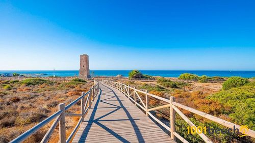seminaire-espagne-marbella-.webp