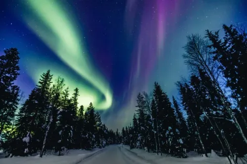 Organisez un séminaire à Helsinki en Finlande pour votre team building