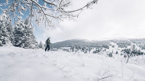 Balade en raquettes à neige
