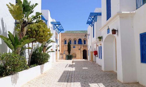 Nos offres de séminaire d'entreprise à Hammamet
