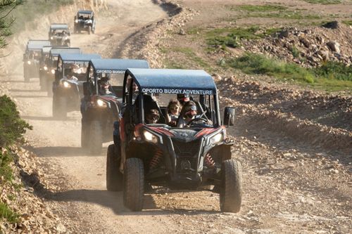 Exploration de la nature en buggy
