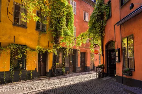 Profitez d'un séminaire de team building à Stockholm