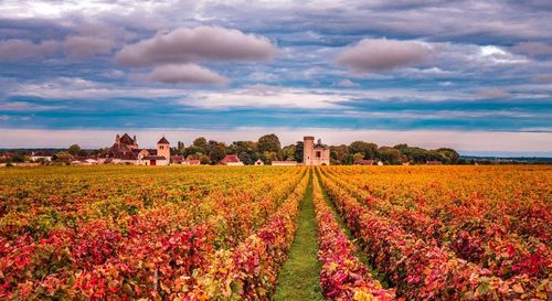 Séminaire en Bourgogne