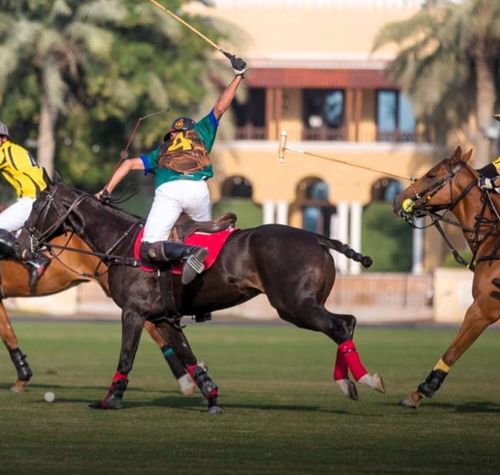 Séminaire à Dubaï: Polo ou chameau?