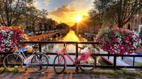 Organiser séminaire à Amsterdam