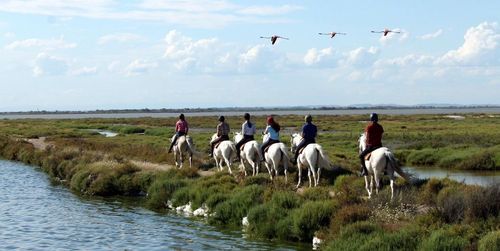 Balade à Cheval