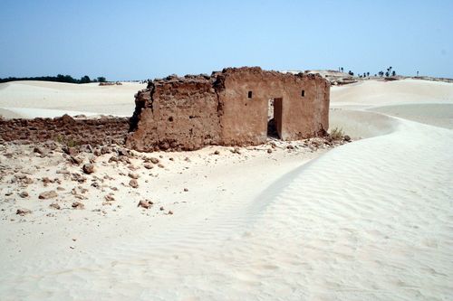 Séminaire à Djerba