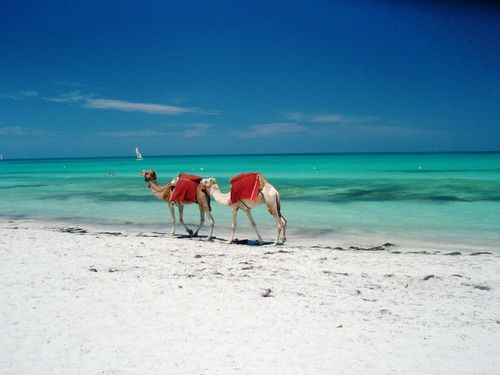 Séminaire à Djerba