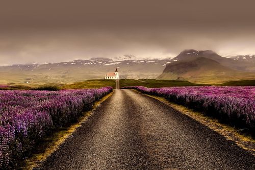 Séminaire d’entreprise et team building à Reykjavik